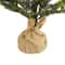 5ft. Pre-Lit Fraser Fir Natural Look Artificial Christmas Tree with Clear LED Lights